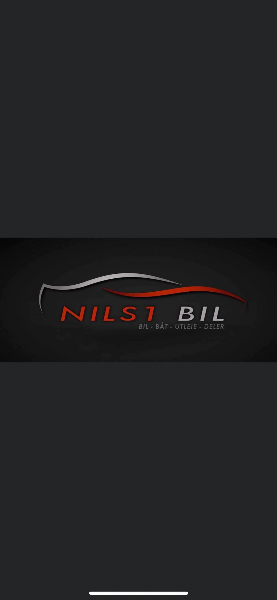Nils1bil logo